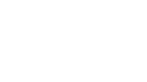 SNF Consulting